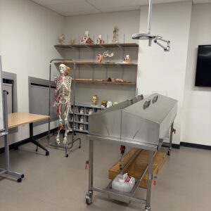 CAND Cadaver Lab